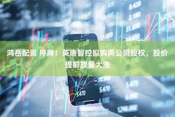 鸿岳配资 停牌！英唐智控拟购两公司股权，股价提前放量大涨