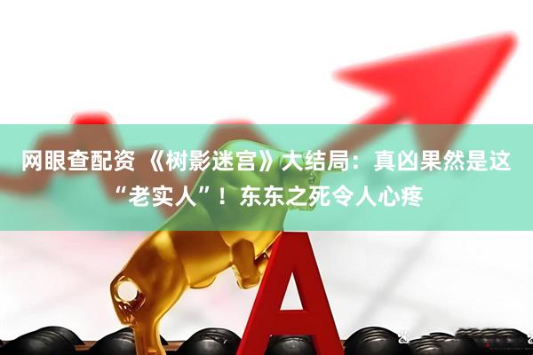 网眼查配资 《树影迷宫》大结局：真凶果然是这“老实人”！东东之死令人心疼