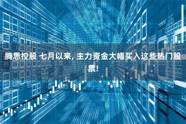 腾思控股 七月以来, 主力资金大幅买入这些热门股票!